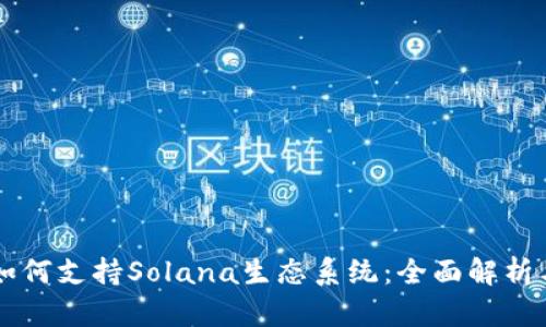 TPWallet如何支持Solana生态系统：全面解析与应用指南