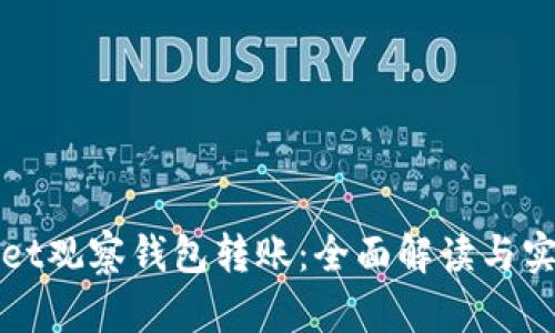 TPWallet观察钱包转账：全面解读与实用技巧