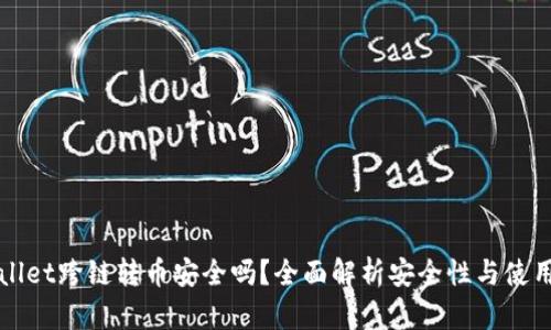 TPWallet跨链转币安全吗？全面解析安全性与使用指南